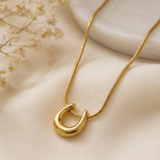 Horseshoe Necklace