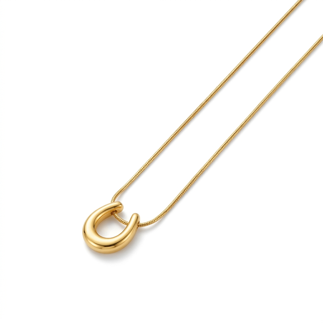 Horseshoe Necklace