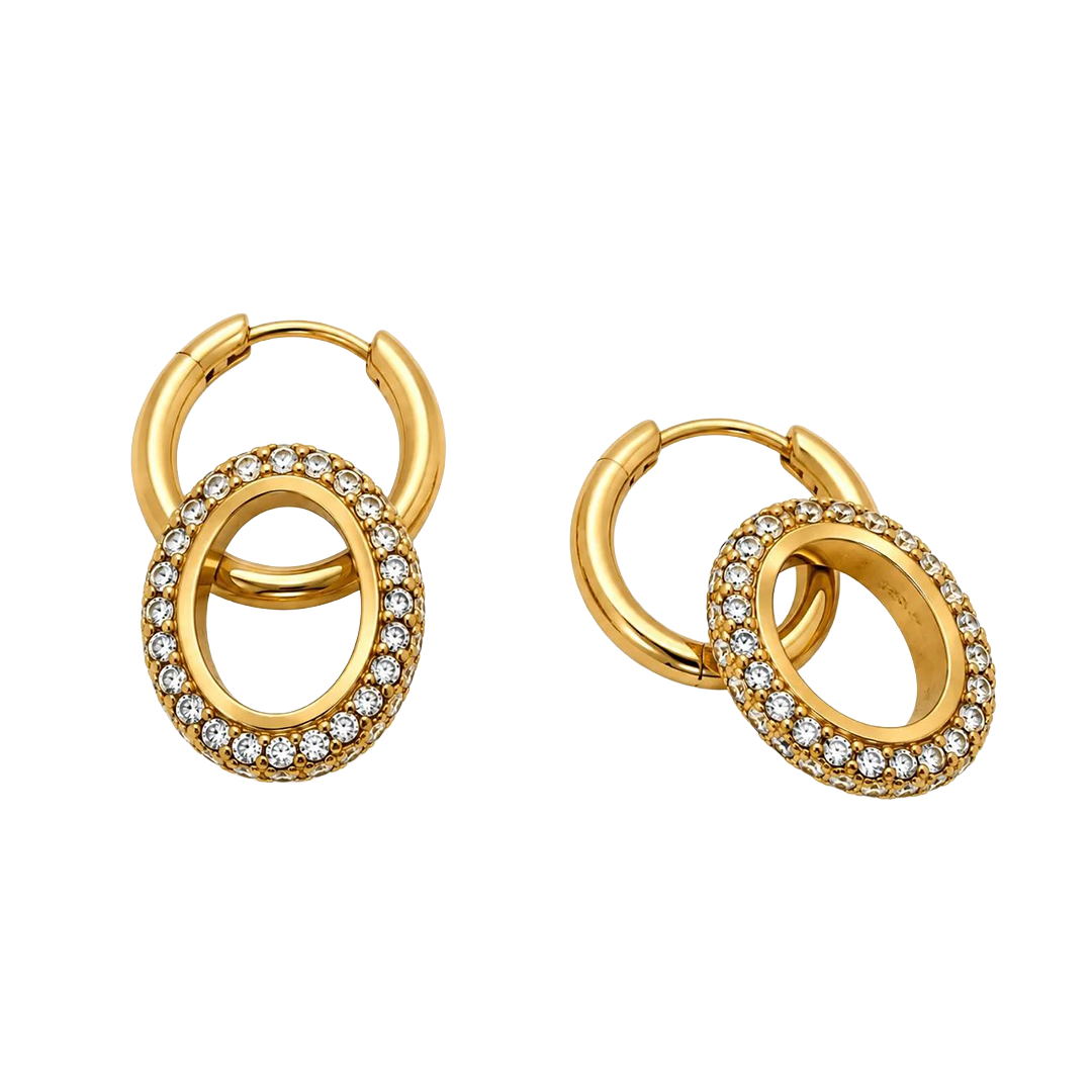 Circle zircone Earrings