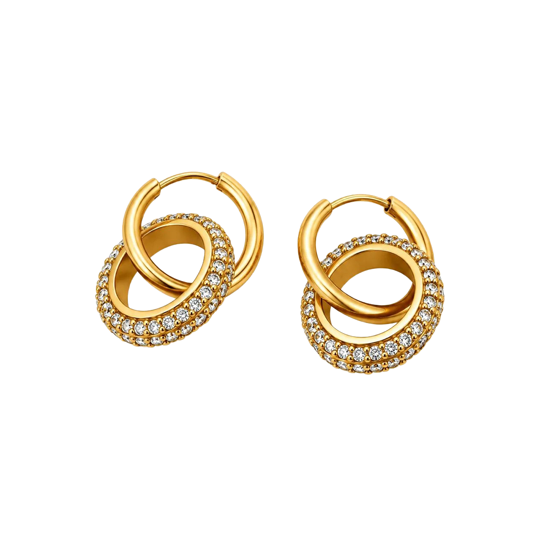 Circle zircone Earrings